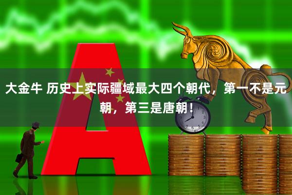 大金牛 历史上实际疆域最大四个朝代，第一不是元朝，第三是唐朝！