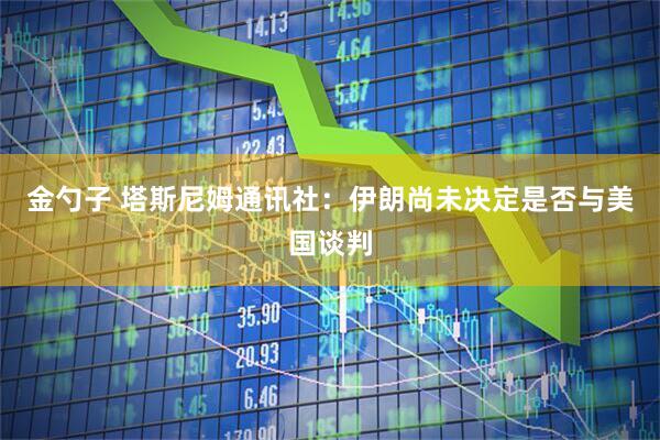 金勺子 塔斯尼姆通讯社：伊朗尚未决定是否与美国谈判