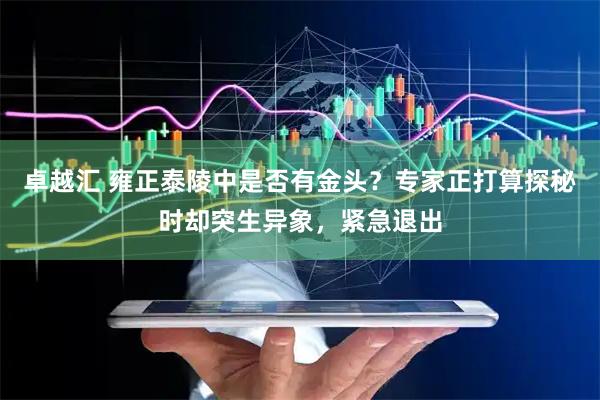 卓越汇 雍正泰陵中是否有金头？专家正打算探秘时却突生异象，紧急退出
